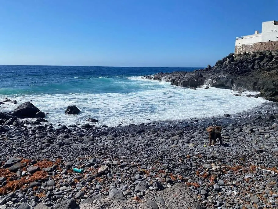 El EscobonalCoqueto Piso A 2 Min De La Playa公寓 公寓 El Escobonal